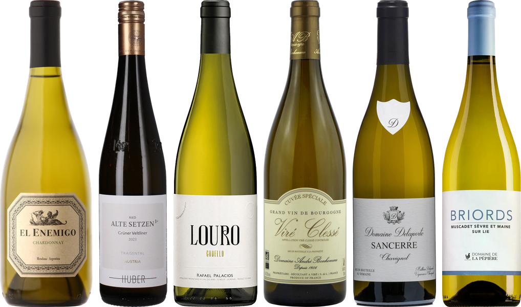8Wines Weisswein Verkostungsset