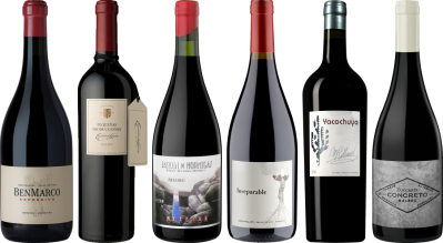 Argentinischer Malbec Premium Verkostungsset