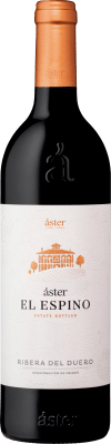 Aster El Espino 2021