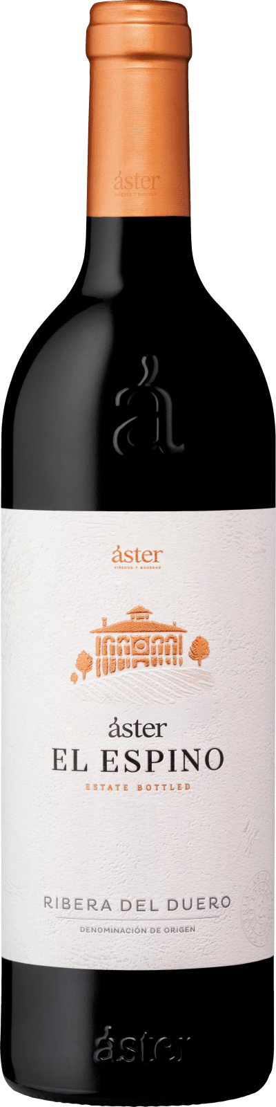 Aster El Espino 2021