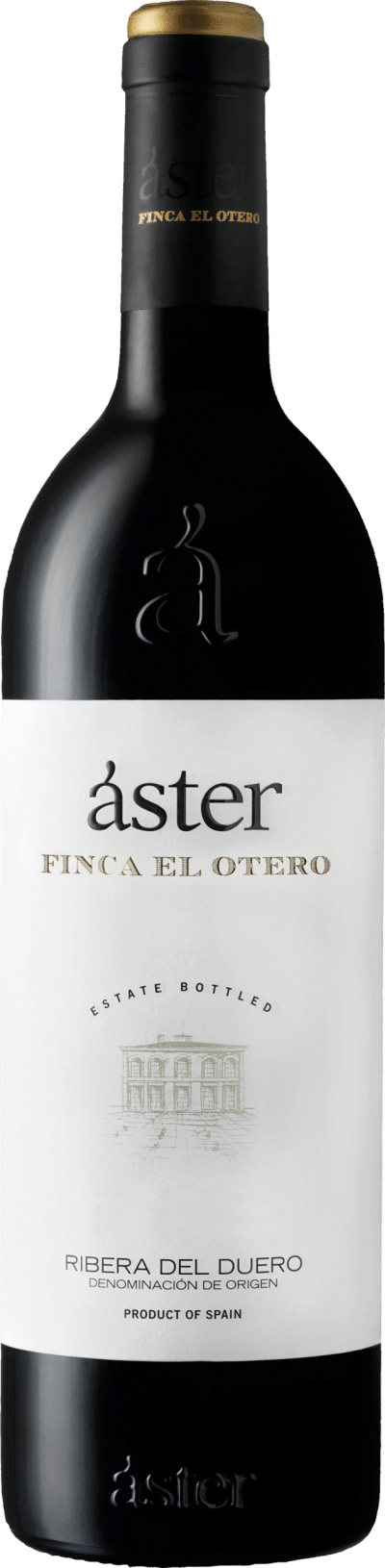 Aster Finca El Otero 2021