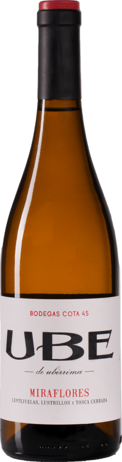 Bodegas Cota 45 UBE Miraflores 2023