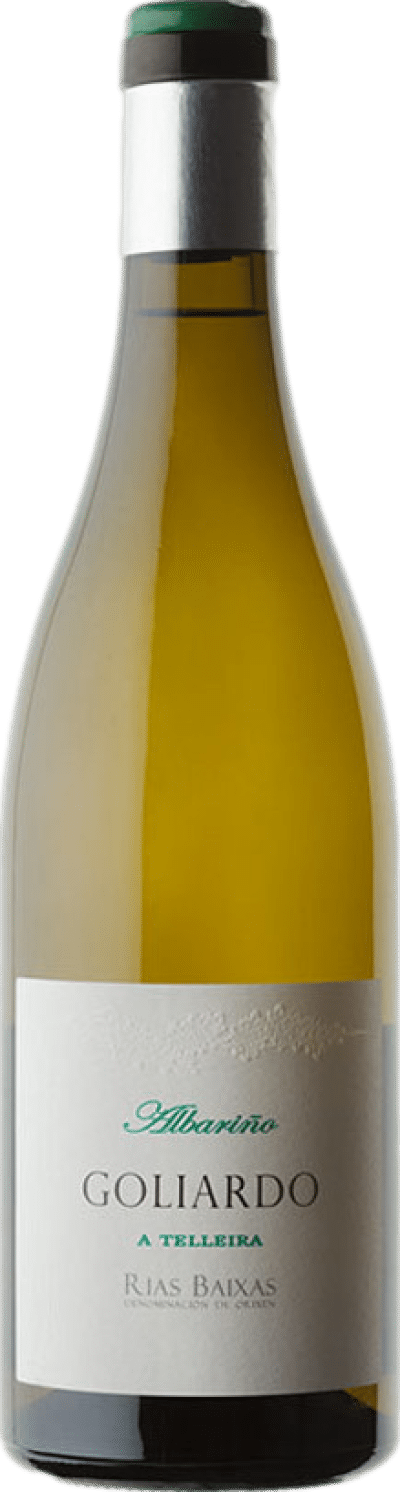 Bodegas Forjas del Salnes Goliardo A Telleira Albarino 2023