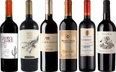 Carmenere Verkostungsset