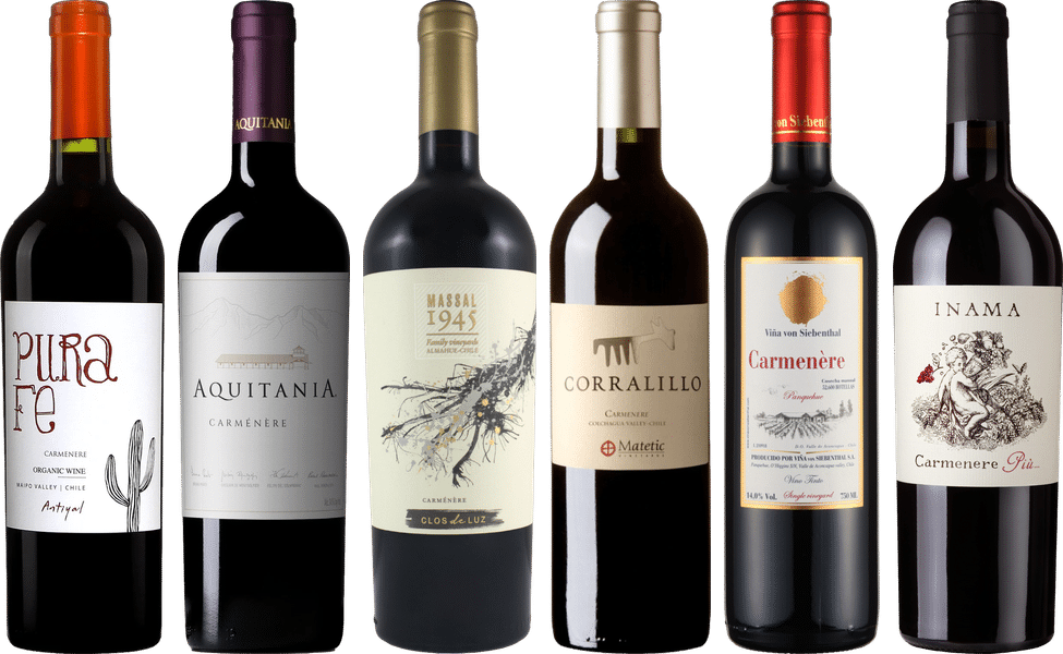 Carmenere Verkostungsset