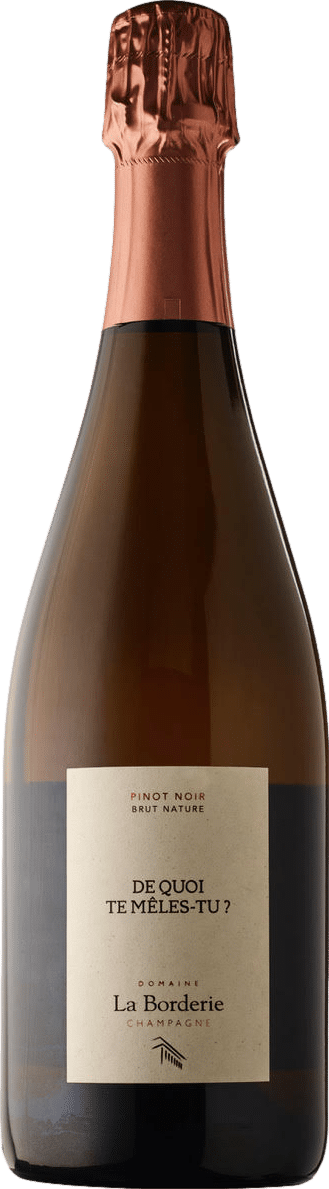Champagne Domaine la Borderie De Quoi Te Meles Tu Blanc de Noirs Extra Brut