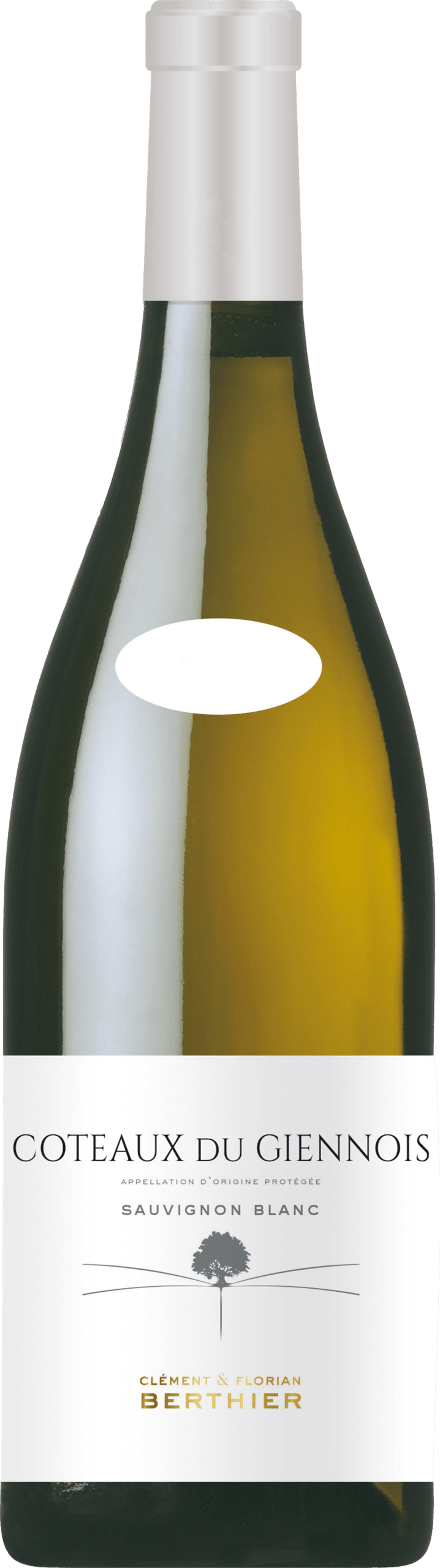Clement & Florian Berthier Coteaux du Giennois Blanc 2024