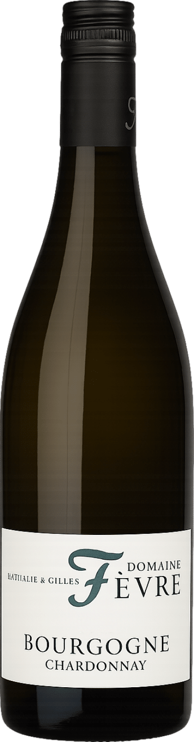 Domaine Nathalie & Gilles Fevre Bourgogne Chardonnay 2023