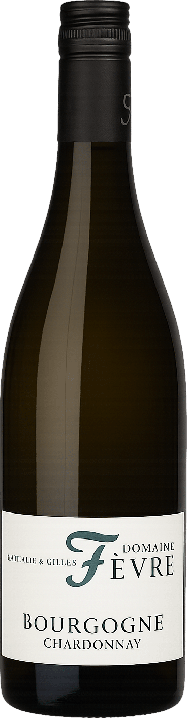 Domaine Nathalie & Gilles Fevre Bourgogne Chardonnay 2023