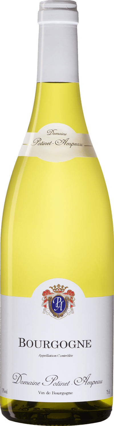 Domaine Potinet-Ampeau Bourgogne Blanc 2020