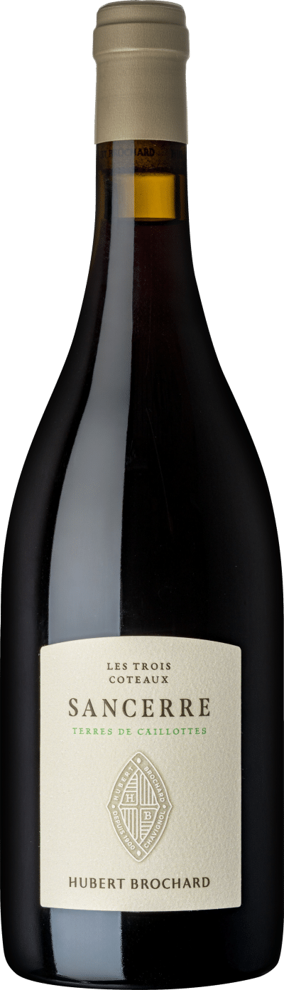 Hubert Brochard Sancerre Les Trois Coteaux Terre de Caillotes 2023