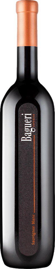 Klet Brda Bagueri Superior Sauvignon Blanc 2021