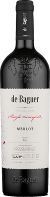 Klet Brda De Baguer Single Vineyard Merlot 2019