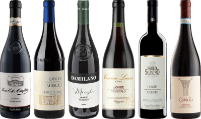 Langhe Nebbiolo Premium Verkostungsset