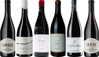 Mencia Premium Verkostungsset