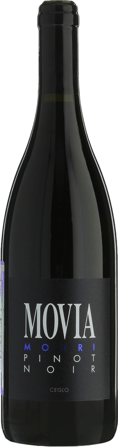 Movia Modri Pinot Noir 2023