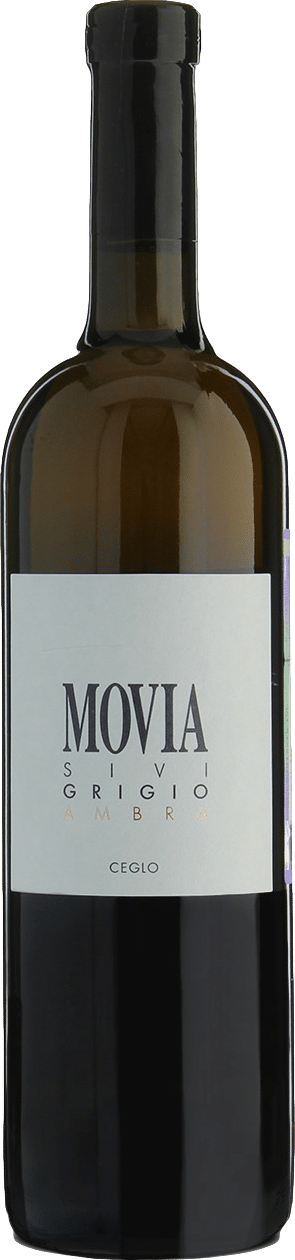 Movia Sivi Grigio Ambra 2023