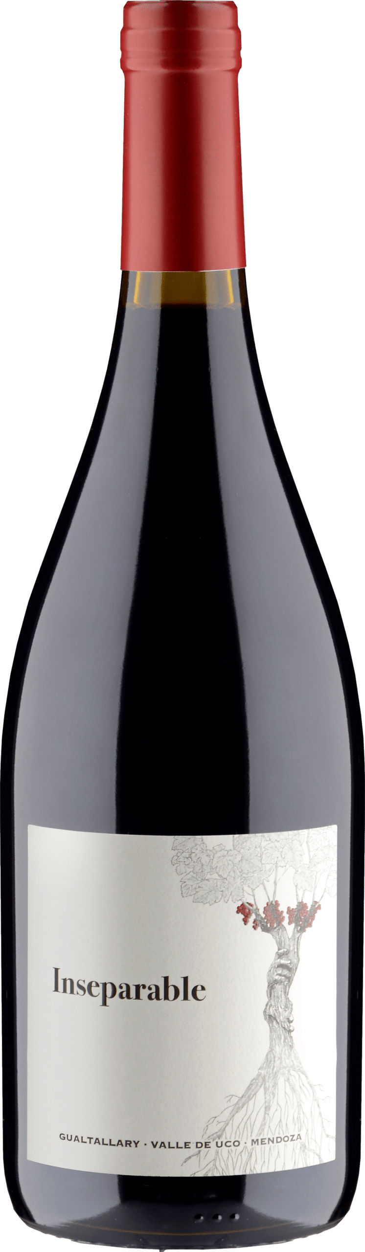 PerSe Inseparable 2022