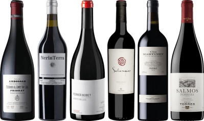 Priorat Premium Verkostungsset