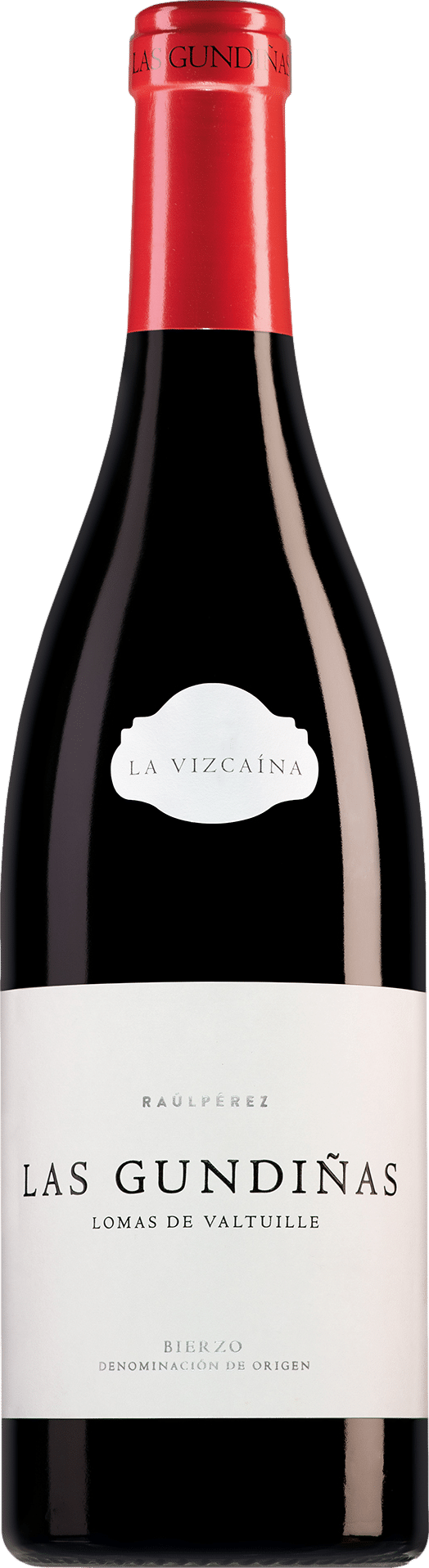 Raul Perez La Vizcaina Las Gundinas Mencia 2023