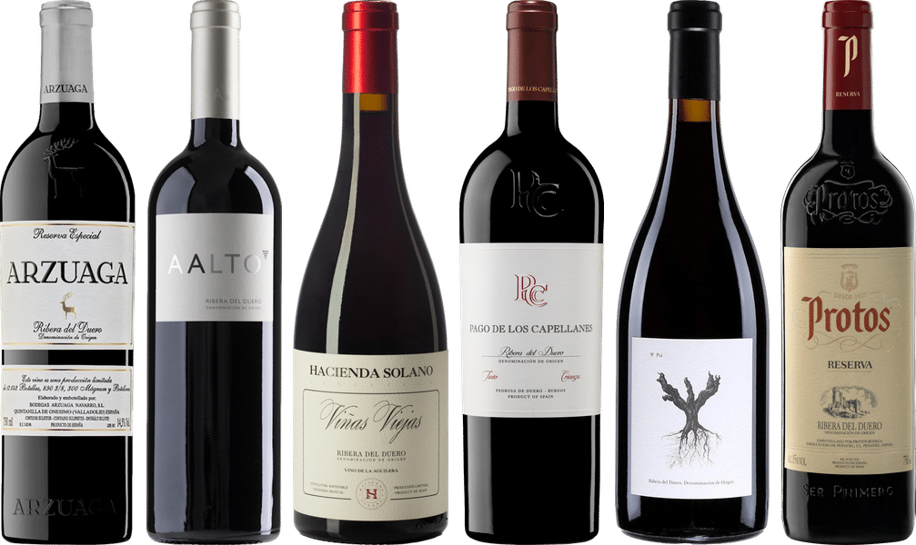 Ribera del Duero Premium Verkostungset