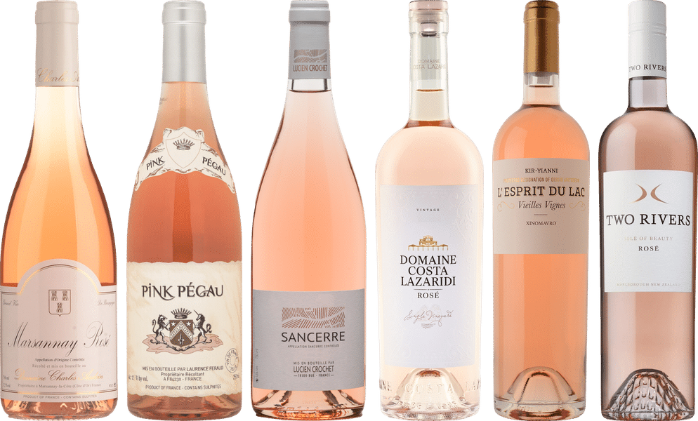 Rose Premium Verkostungsset