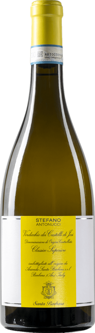 Santa Barbara Stefano Antonucci Verdicchio dei Castelli di Jesi Classico Superiore 2023