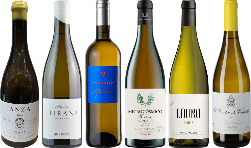 Spanischer Weißwein Premium Verkostungsset