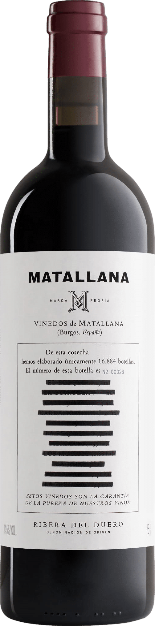 Telmo Rodriguez Matallana 2020