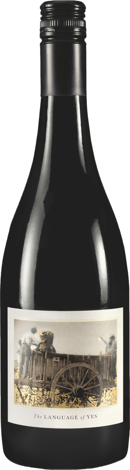 The Language of Yes Syrah 2022
