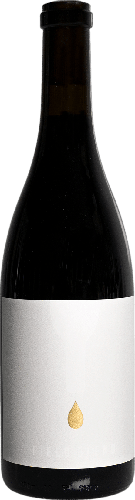 Upsidedown Gold Drop GSM 2022