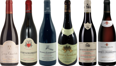 Gevrey Chambertin Verkostungsset