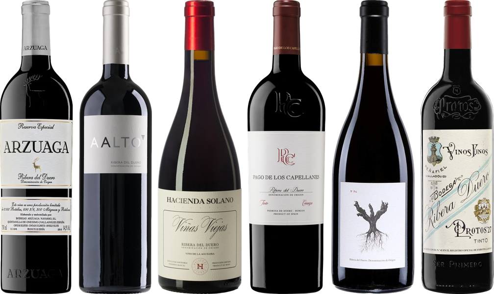 Ribera del Duero Premium Verkostungset