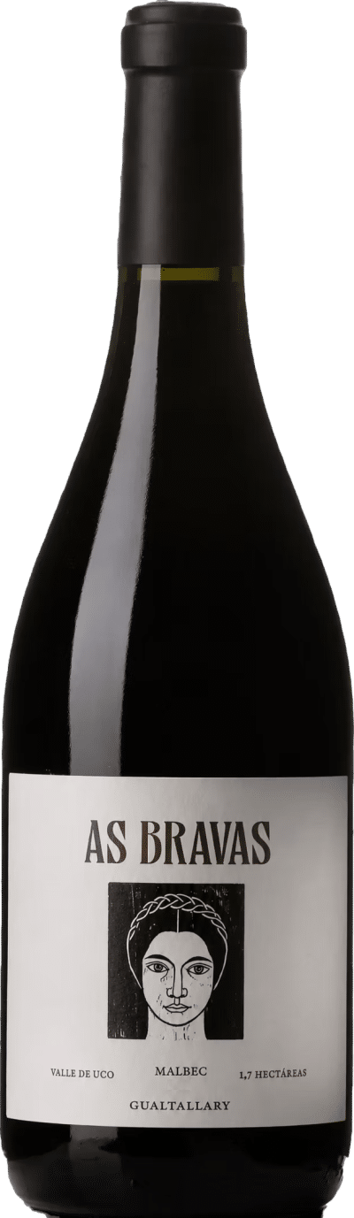 El Enemigo As Bravas Gualtallary Malbec 2018