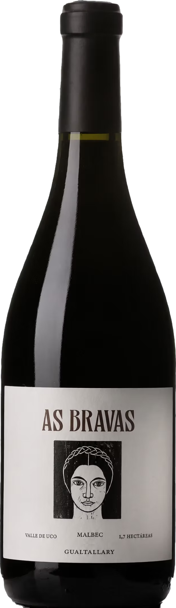 El Enemigo As Bravas Gualtallary Malbec 2018