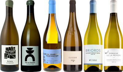 Muscadet Premium Verkostungsset