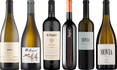 Slowenischer Weißwein Premium Verkostungsset