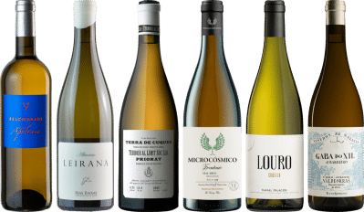 Spanischer Weißwein Premium Verkostungsset