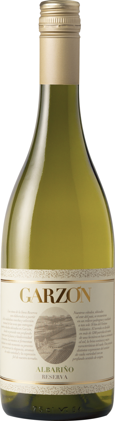 Bodega Garzon Reserva Albarino 2023