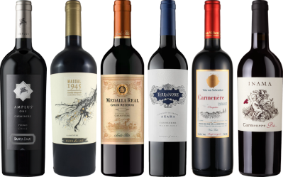 Carmenere Verkostungsset