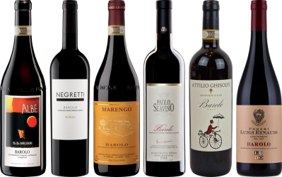 Hochwertiges Barolo Verkostungsset