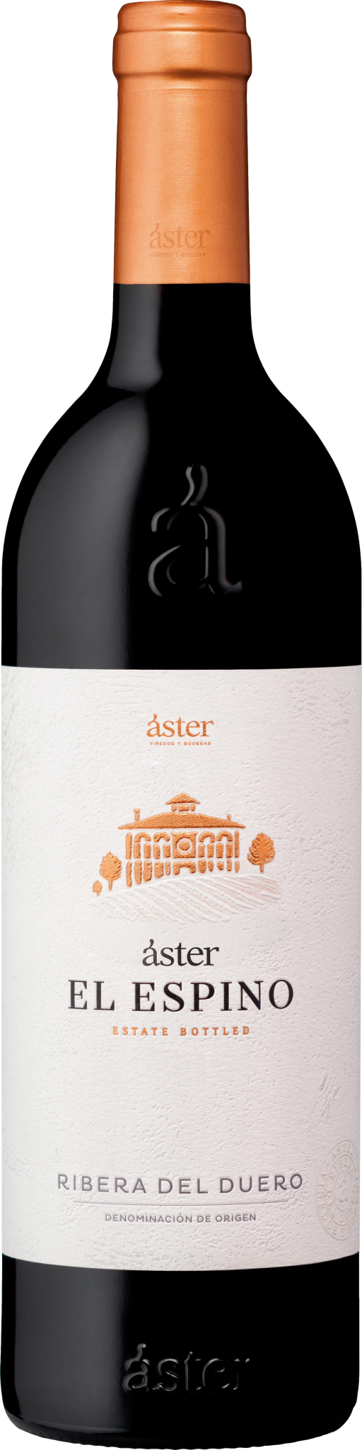 Aster El Espino 2021
