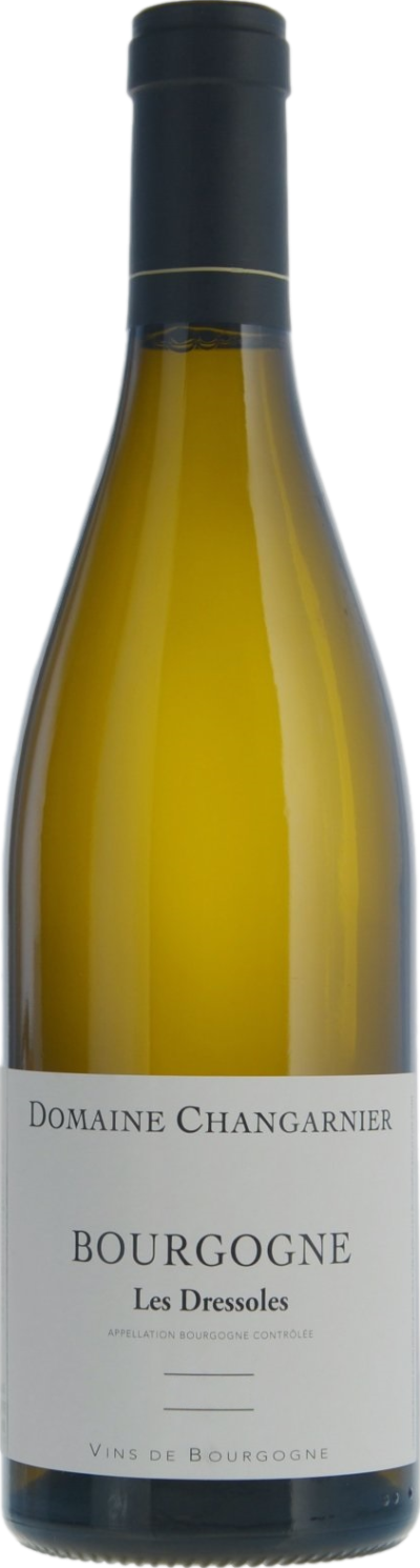 Domaine Changarnier Bourgogne Blanc Les Dressoles 2022