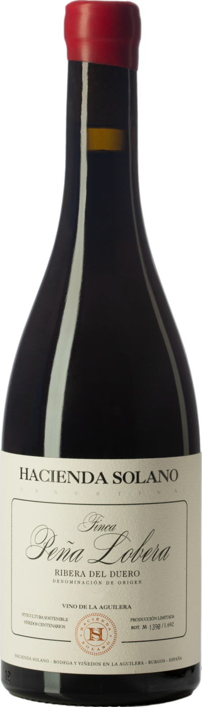 Hacienda Solano Finca Pena Lobera 2021