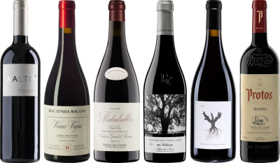Ribera del Duero Premium Verkostungset