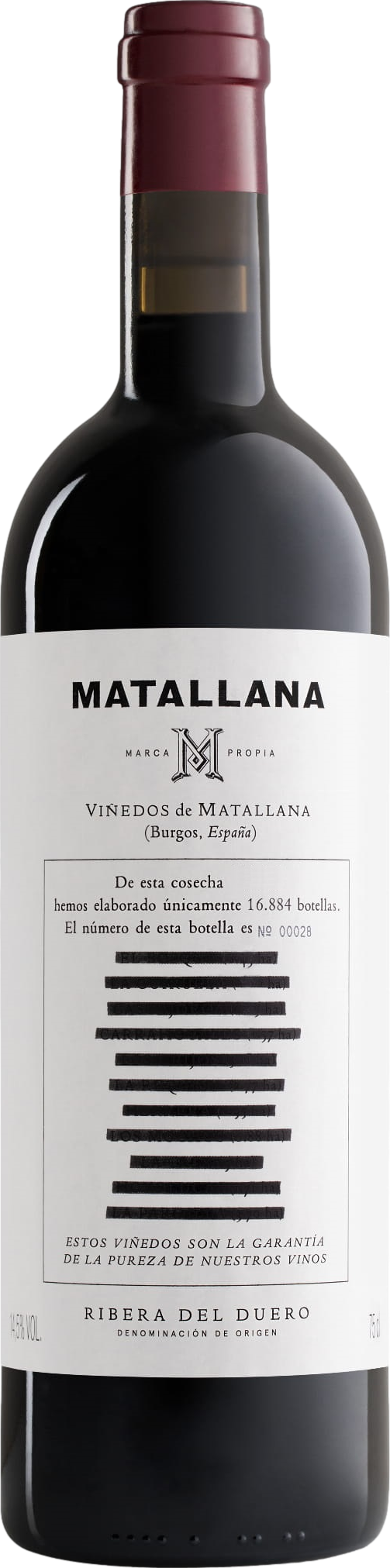 Telmo Rodriguez Matallana 2020