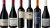 Argentinischer Malbec Premium Verkostungsset