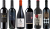 Primitivo Premium Verkostungsset